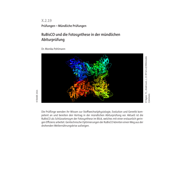 RuBisCO und die Fotosynthese in der mündlichen Abiturprüfung