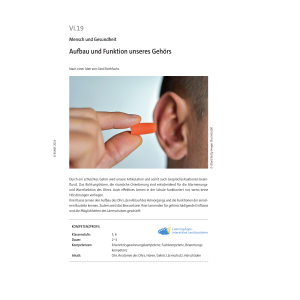 Das Ohr: Aufbau und Funktion unseres Gehörs - Klasse...