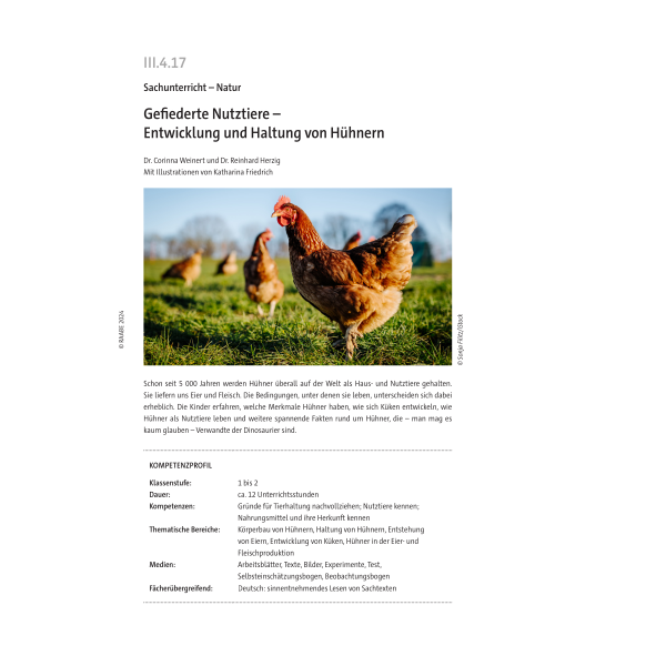Entwicklung und Haltung von Hühnern - Sachunterricht Klasse 1/2
