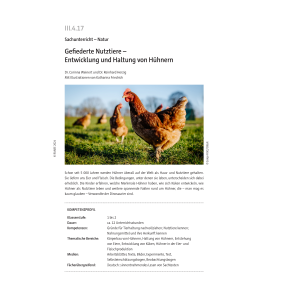 Entwicklung und Haltung von Hühnern - Sachunterricht...
