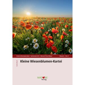 Wiesenblumen-Kartei für Klasse 2-4