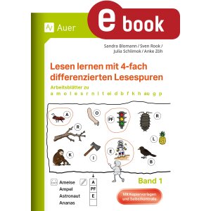 Lesen lernen mit 4-fach differenzierten Lesespuren (Band 1)