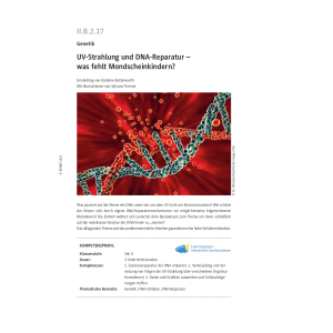 UV-Strahlung und DNA-Reparatur