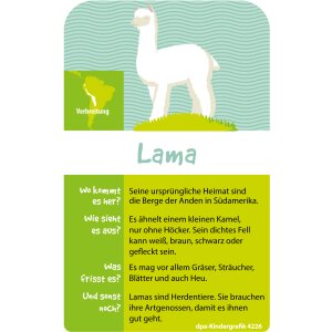 Das Lama - Kindergrafik